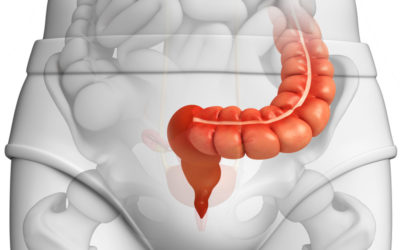 Rastreamento do câncer do intestino grosso