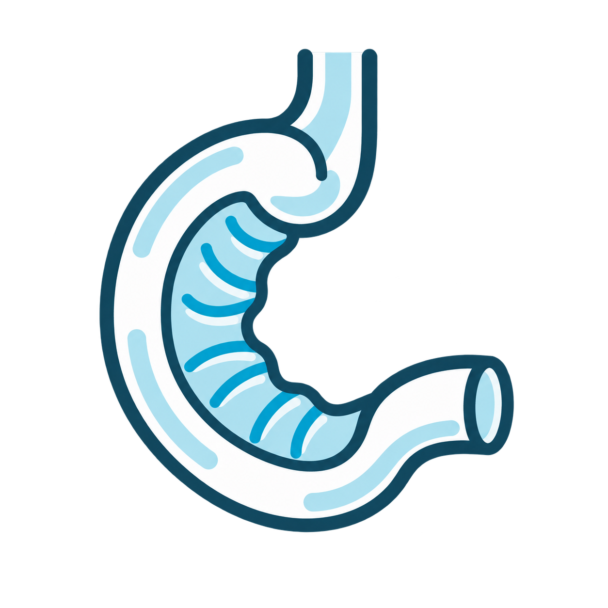 Intestino Delgado